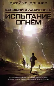 Купить Испытание огнем — Фото №1