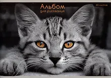 Купить Альбом для рисования Listoff, "Взгляд кота", А4, 40 листов, на скрепке — Фото №1