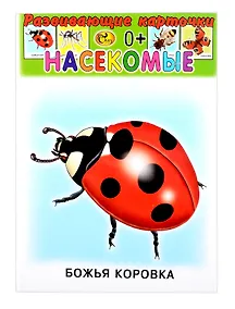 Купить Развивающие карточки Насекомые (0+) (12 карточек) — Фото №1