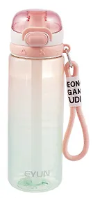 Купить Бутылка с карабином Градиент (пластик) (750мл) (12-16484-202405-B7) — Фото №1