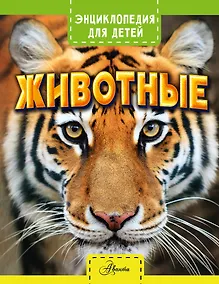 Купить Животные — Фото №1