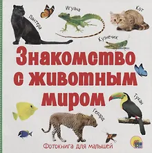 Купить Знакомство с животным миром — Фото №1