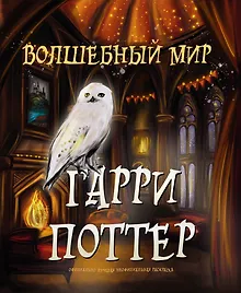 Купить Волшебный мир Гарри Поттера. Раскраска — Фото №1