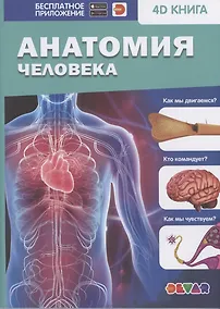 Купить Анатомия человека — Фото №1