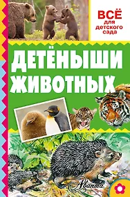 Купить Детёныши животных — Фото №1