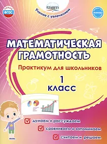 Купить Математическая грамотность. 1 класс. Практикум для школьников — Фото №1