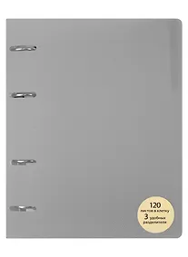 Купить Тетрадь на кольцах в клетку Listoff, My Notebook, 120 листов — Фото №1