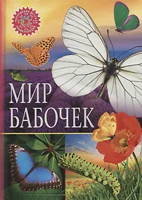 Купить Мир бабочек — Фото №1