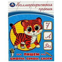 Купить Каллиграфическая пропись. Пишем цифры, буквы, слоги — Фото №1