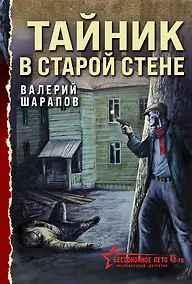 Купить Тайник в старой стене — Фото №1