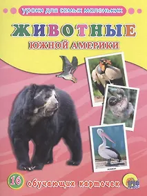 Купить ОБУЧАЮЩИЕ КАРТОЧКИ. ЖИВОТНЫЕ ЮЖНОЙ АМЕРИКИ — Фото №1