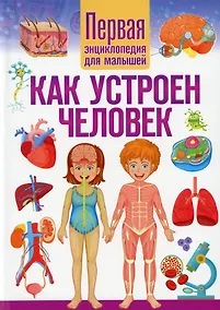 Купить Как устроен человек. Первая энциклопедия для малышей — Фото №1