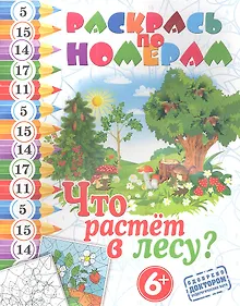 Купить Что растет лесу? — Фото №1