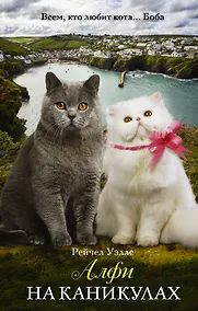 Купить Алфи на каникулах — Фото №1