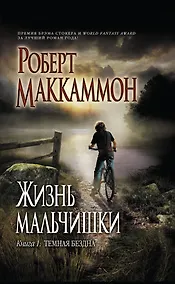 Купить Жизнь мальчишки. Книга 1: Темная бездна — Фото №1