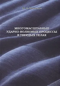 Купить Многомасштабные ударно-волновые процессы в твердых телах — Фото №1