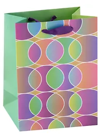 Купить Пакет А5 23*18*10 "Цветные овалы" нейтр., бум.мат — Фото №1