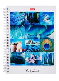 Купить Тетрадь в клетку Hatber, "Краски дня", 80 листов — Фото №1