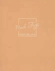 Купить Книга для записей А5+ 96л кл. "Peach Fuzz" интеграл.перепл., матов.ламин., выб.лак. — Фото №1