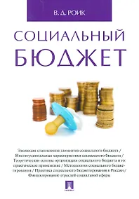 Купить Социальный бюджет. Монография — Фото №1
