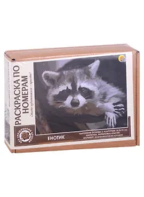 Купить Раскраска по номерам. Енотик — Фото №1