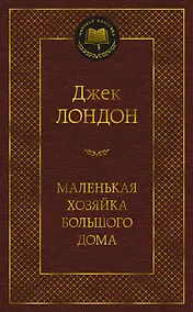 Купить Маленькая хозяйка большого дома — Фото №1