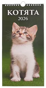 Купить Календарь 2026г 165*335 "Котята" настенный, на спирали — Фото №1