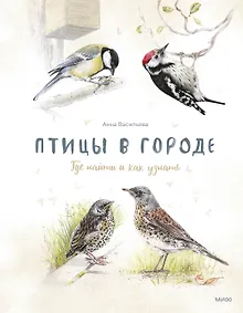 Купить Птицы в городе. Где найти и как узнать — Фото №1