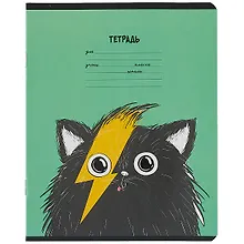 Купить Тетрадь в клетку Феникс+, "Хип хоп команда", 12 листов, в ассортименте — Фото №1