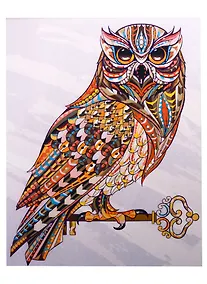 Купить Набор д/творчества Рыжий кот Холст с красками 40х50см по номерам (в коробке) (22цв.) Сова и ключ Х-2983 — Фото №1