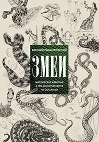 Купить Змеи. Мистические животные и чем они отличаются от остальных — Фото №1