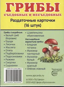Купить Грибы съедобные и несъедобные. 16 раздаточных карточек с текстом — Фото №1