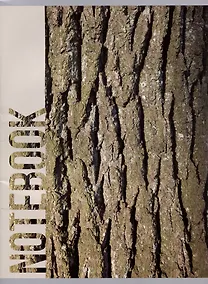 Купить Тетрадь в клетку Listoff, Wood Texture, А4, 80 листов — Фото №1