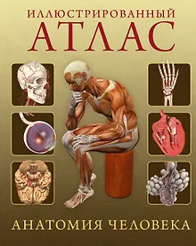 Купить Иллюстрированный атлас. Анатомия человека — Фото №1