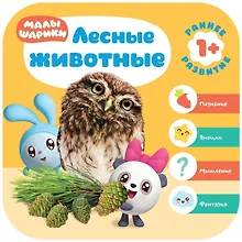 Купить Лесные животные — Фото №1