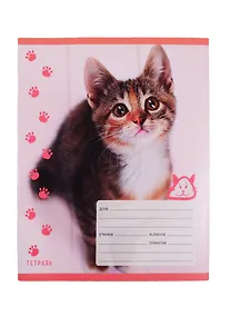 Купить Тетрадь в клетку Unnika, "Пушистые котята", 18 листов, в ассортименте — Фото №1