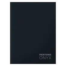 Купить Книга для записей А5+ 96л кл. "Onyx" интеграл.перепл., матов.ламин., выб.лак. — Фото №1
