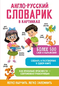 Купить Англо-русский словарик в картинках — Фото №1