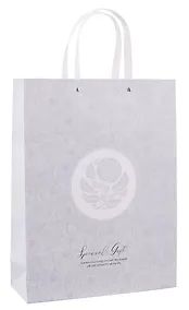 Купить Пакет А3 32*42*11,5 "Special gift" жен., бум.мат.ламинат — Фото №1