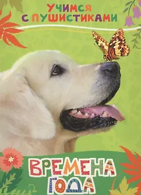 Купить Времена года — Фото №1