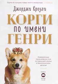 Купить Корги по имени Генри — Фото №1