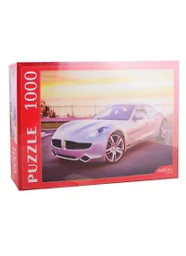 Купить Пазл Серебристое Авто Рыжий кот 1000 элементов КБ1000-7866 — Фото №1