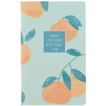 Купить Тетрадь для записи иностранных слов Be Smart, "Pastel. Мандарин", А5, 48 листов — Фото №1