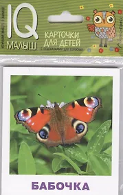 Купить Умный малыш. Насекомые — Фото №1