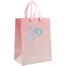 Купить Пакет А5 23*18*10 Surprise! Pink нейтр., бум.мат.ламинат — Фото №1