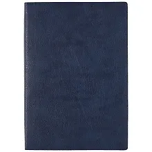 Купить Ежедневник недатированный "Шеврет экстра", А5, 120 листов, синий — Фото №1