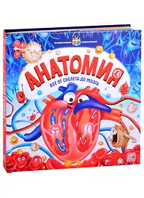 Купить Анатомия. Книжка-панорамка — Фото №1