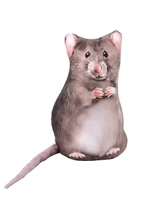 Купить Подушка декоративная антистресс Крыса (23х13) (АН2025-22) — Фото №1