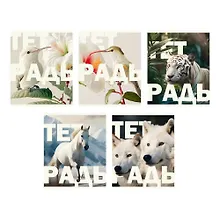 Купить Тетрадь в клетку Listoff, "В дикой природе", 96 листов — Фото №1