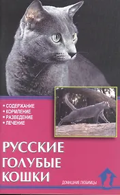 Купить Русские голубые кошки. Содержание. Кормление. Разведение. Лечение — Фото №1